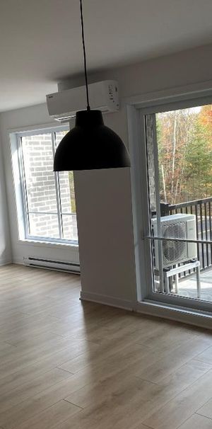 Logement 5 1/2 - Ascenseur - Mars 2026 - Photo 1