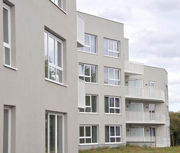 Appartement te huur in Relegem - Photo 2