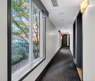 For Lease - 150 York Street Unit# 3A, Lower Town - Sandy Hill, Ontario - Photo 4