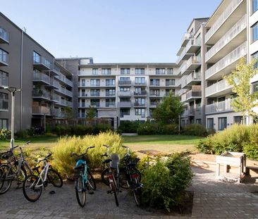 Industrigatan 9 G, lgh 1107, Västra Sorgenfri - Photo 4