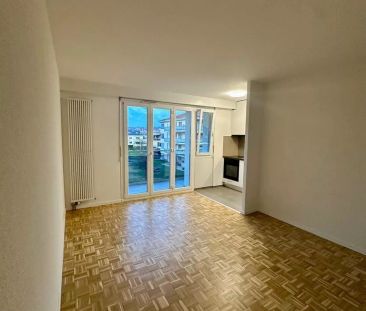 Joli 2 pièces rénové idéalement placé au centre du village - Foto 1