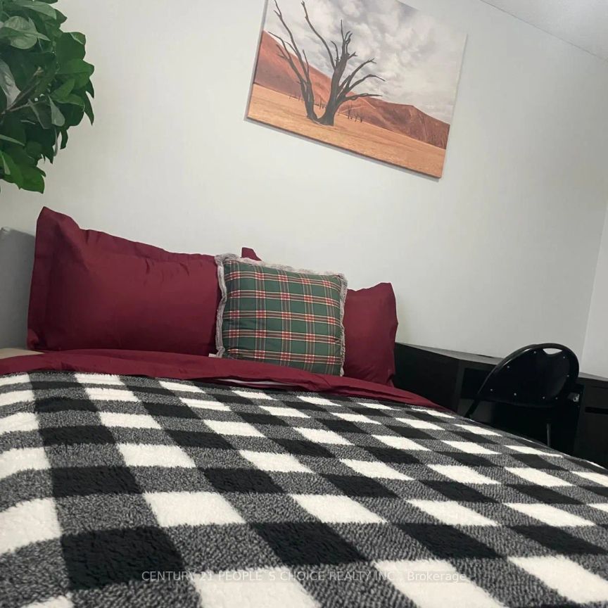 54 Carrie Crescent #Room - Photo 1