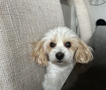 Lännäsbacken, Bandhagen - Photo 2