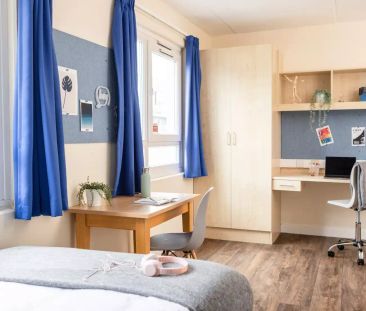 Gold Studio - Photo 6