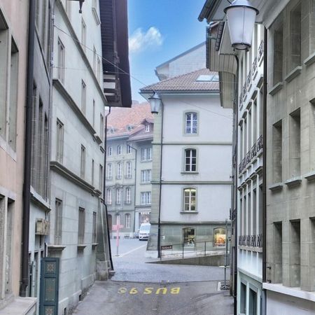 EXCLUSIVE FIRST RENTAL AFTER NUCLEAR RENOVATION - Photo 4