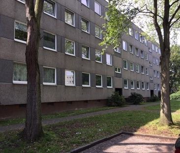 Nette Nachbarn gesucht: weitläufige 3-Zimmer-Wohnung - Foto 1