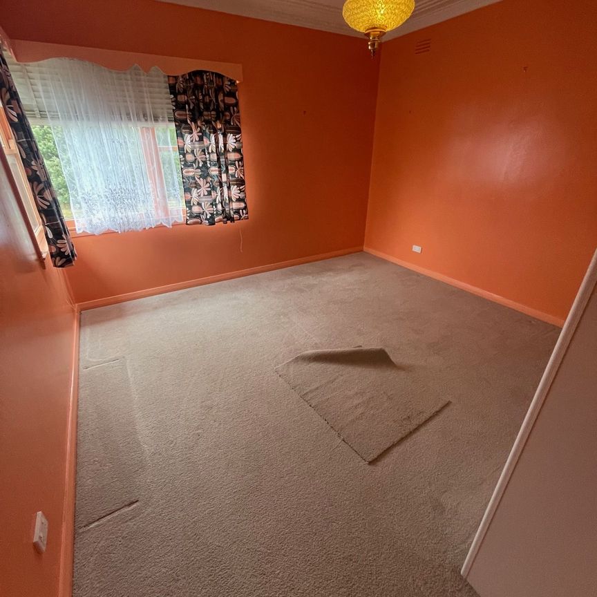 24 Combermere Street - Photo 1