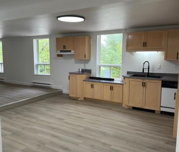 Appartement 4 1/2 Coaticook Dispo maintenant - Photo 2