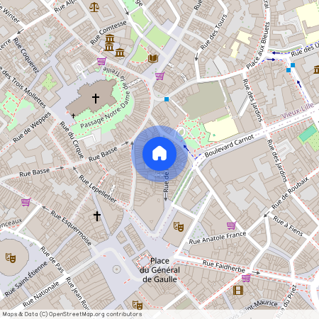 33 Rue De La Clef, 59000, Lille