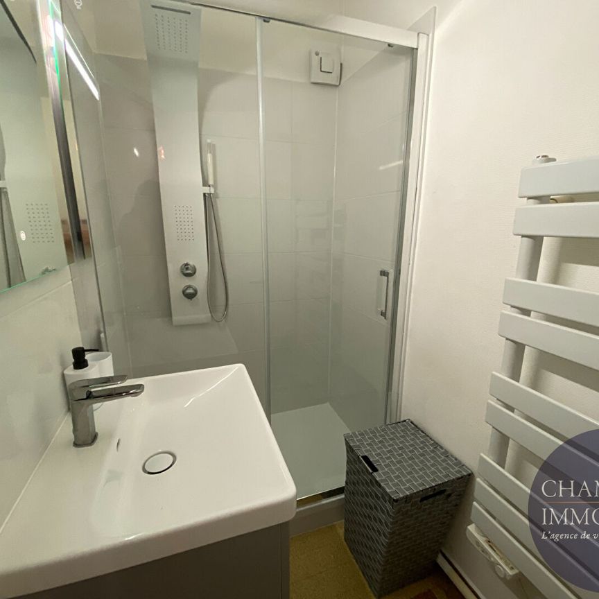 Appartement lumineux BLOIS - Centre ville - Photo 1