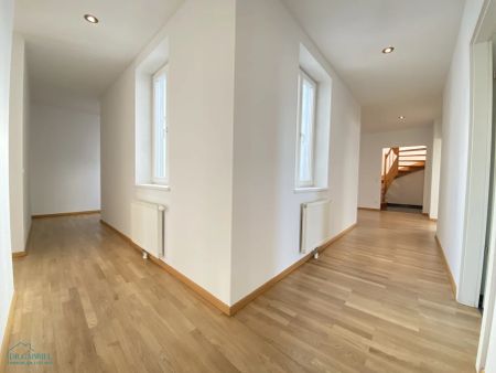 GROSSZÜGIGE DACHTERRASSENMIETE - Photo 4