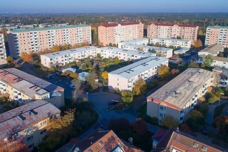 Skorpionens Gata 532, Brandbergen - Photo 5