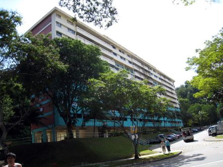 Blk 31 Telok Blangah Rise (Bukit Merah), HDB 3 Rooms - For Rent - Photo 5