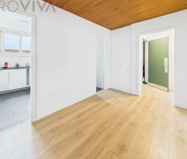 Charmant, grosszügig und mit Cheminée - Photo 1