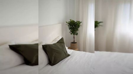 3-bedroom apartment for rent in Patraix, Valencia. - Foto 5