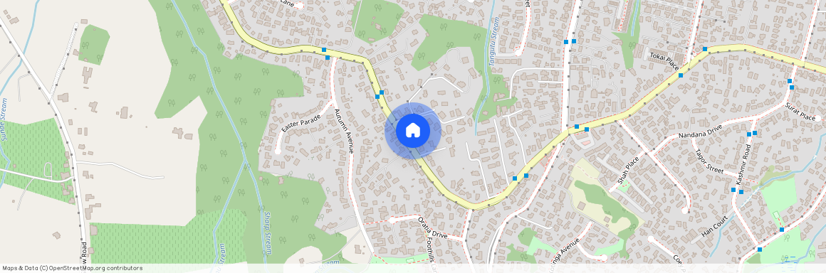 141E Glengarry Road, Glen Eden, Waitakere City