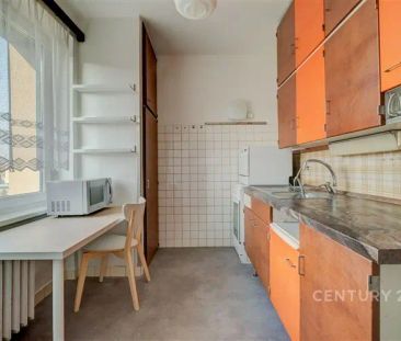 Prostorný a půvabný byt 2+1 s balkónem a sklepem k pronájmu, Pod li... - Photo 6
