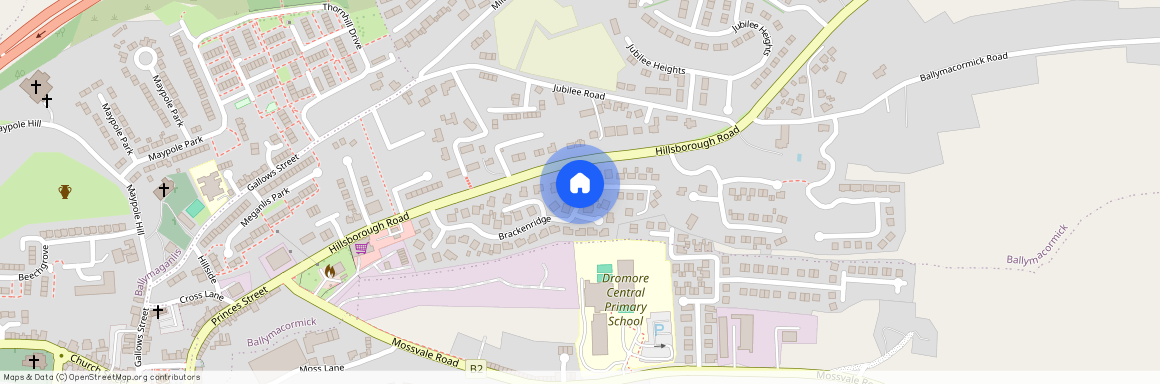 25 Brackenridge, Hillsborough Road, Dromore, BT25 1QF