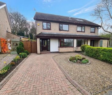3 bedroom semi-detached house to rent - Photo 3