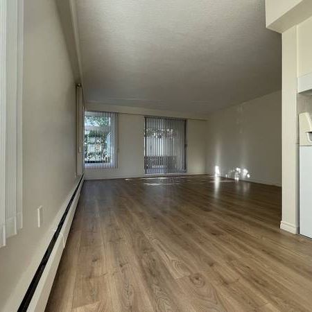 1 bed/1 bath apartment in Kerrisdale - Photo 3