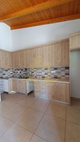 Μονοκατοικία για ενοικίαση Γηροκομείο (Πάτρα) - Photo 3