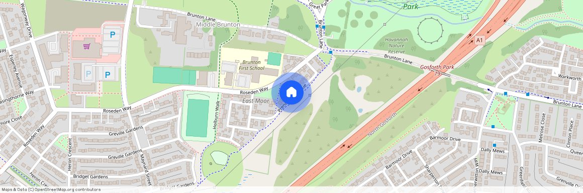 Prendwick Avenue, Great Park, NE13