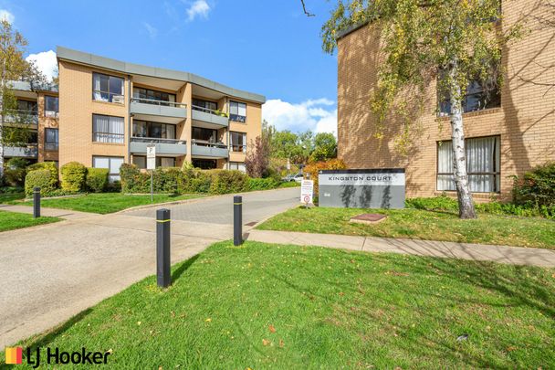 Prime Kingston Location - Photo 1
