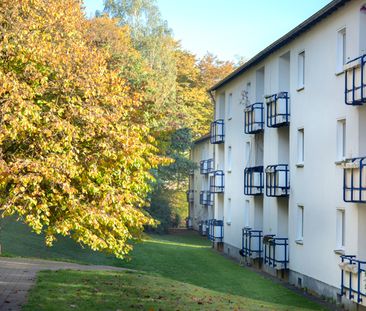 3-Zimmer-Wohnung in Siegen Dillnhütten - Photo 2