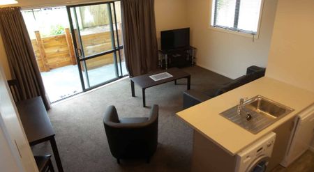 Furnished One Bedroom Apartment - Photo 2