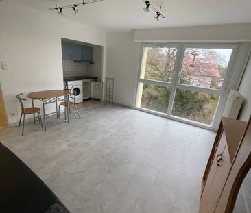 Location Appartement 1 pièce 28m² WISSEMBOURG 67160 - Photo 4