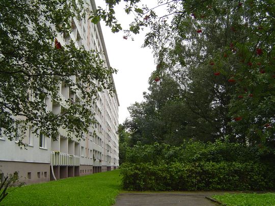 3-Raum-Familienwohnung mit Balkon - Foto 1