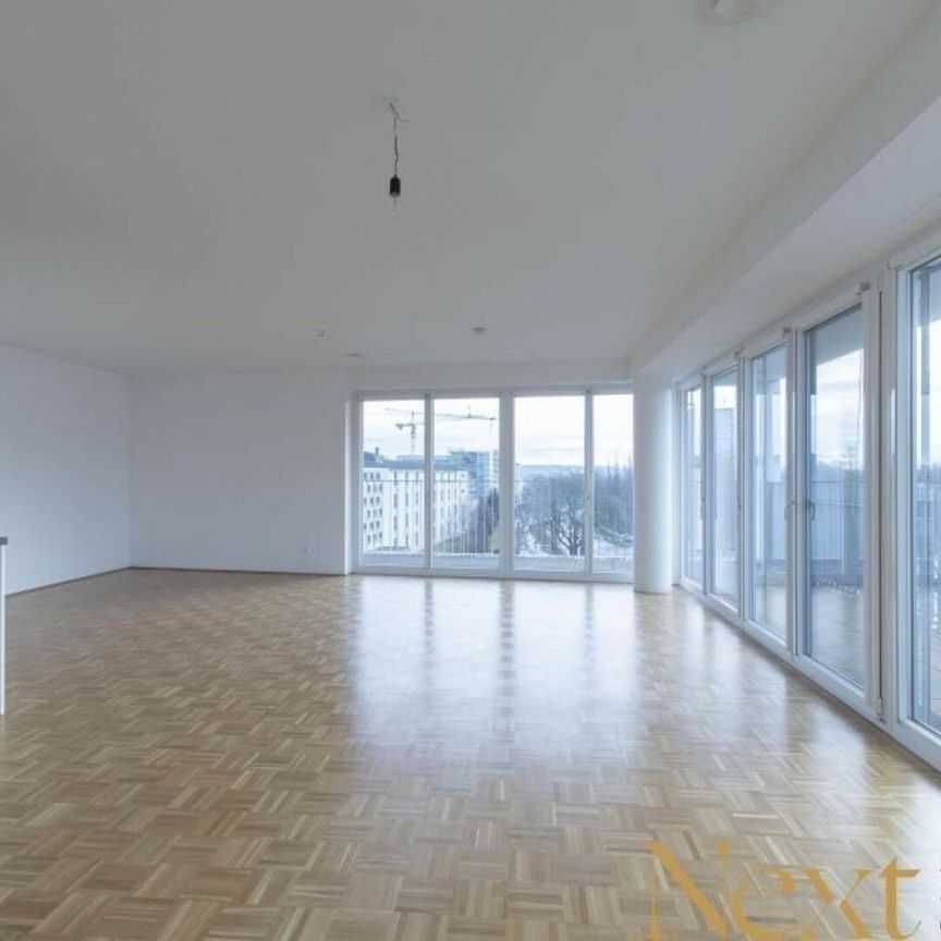 Moderne 2-Zimmer-Loftwohnung mit großzügiger Südterrasse in Linz nähe WIFI zu vermieten! (Top 52) - Foto 1