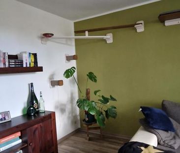 2-Zimmer-Dachgeschosswohnung in ruhiger Lage - Foto 3
