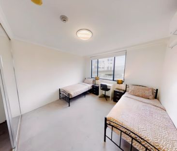 3 bed 2 bath-43 - Photo 4