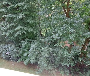 Location Appartement 1 pièce 27m² ST EGREVE 38120 - Photo 6