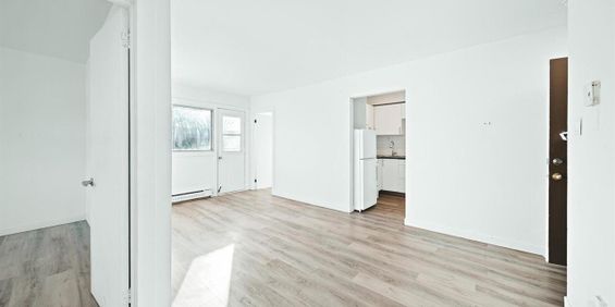Classic 2 Bedroom - 6965 Rue De Choisy, Montréal - Photo 3