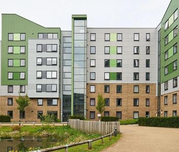 1 bedroom in a flat share to rent - Photo 5