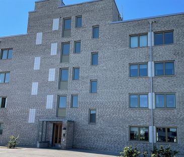 Vildrosgatan 13 - Photo 2