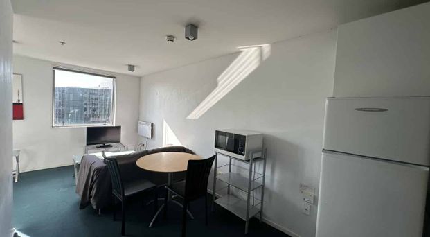 Centrally located Fully Furnished 1 bedroom apartment - Photo 1