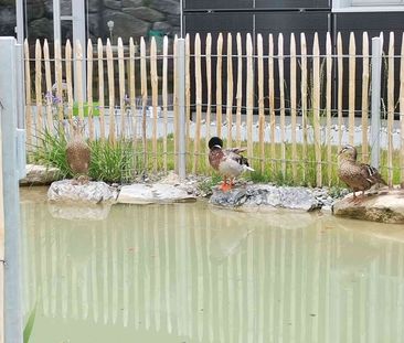 3.5 Zimmer, 96 m², EG - Photo 4