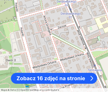 Urokliwa kamienica, Oliwa - Zdjęcie 1