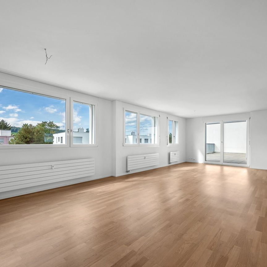 Perfect apartment in Dübendorf with roof terrace! - Photo 1