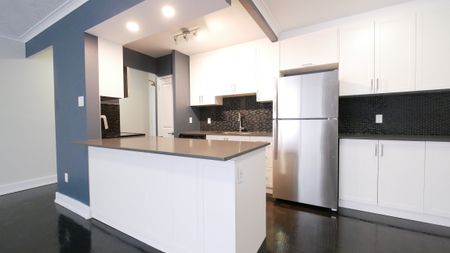 Waterfront Large Renovated 2 Bedroom Apartment Etobicoke - Photo 4