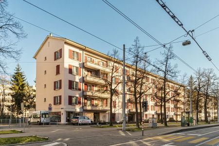 Helle und moderne Wohnung in der Nähe vom Dreiländereck - Foto 3