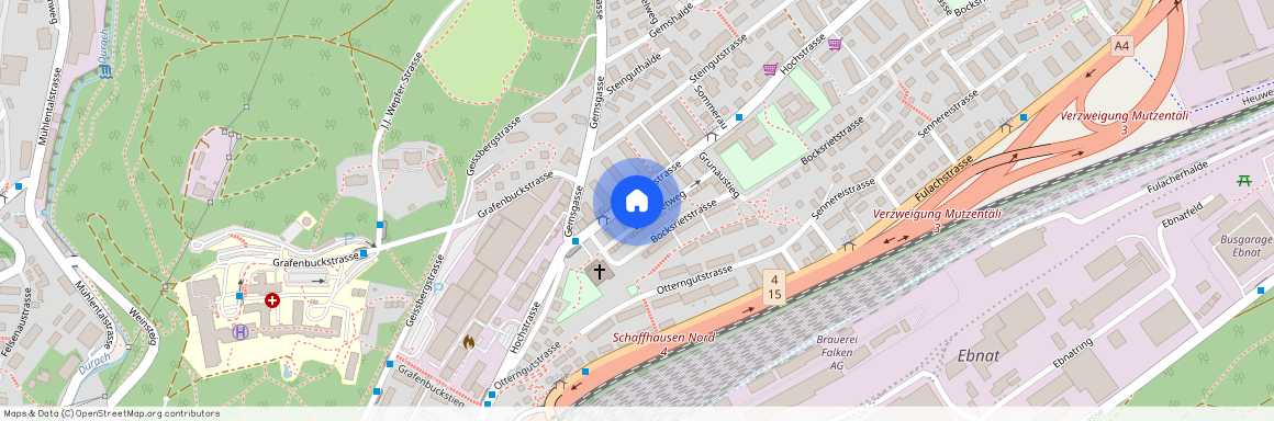 8200, Schaffhausen, Hochstrasse, 244
