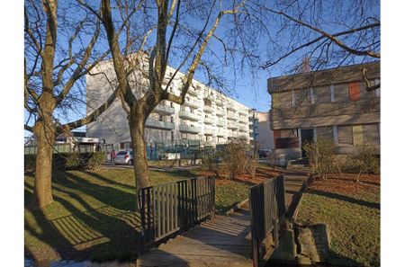 Appartement - ST LOUIS - 50m² - 1 chambre - Photo 3