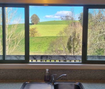 Rural lifestyle, in Pirongia School zone. - Photo 5