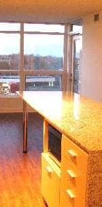 Elegant 1-BR suite for rent at The Luxury Concord Park Place - Photo 1