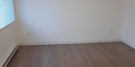 Saint-Rémi, 3 1/2 rénové à louer - Photo 2