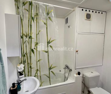 Pronájem bytu 1+1 36 m2 - Photo 1